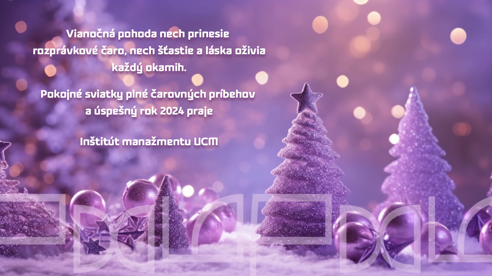 PF 2024 IM UCM